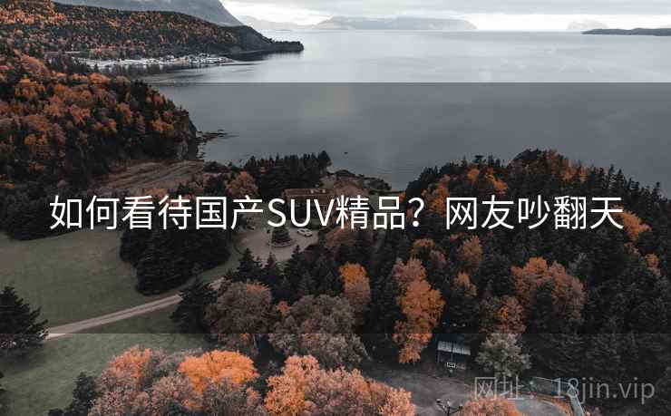 如何看待国产SUV精品?网友吵翻天