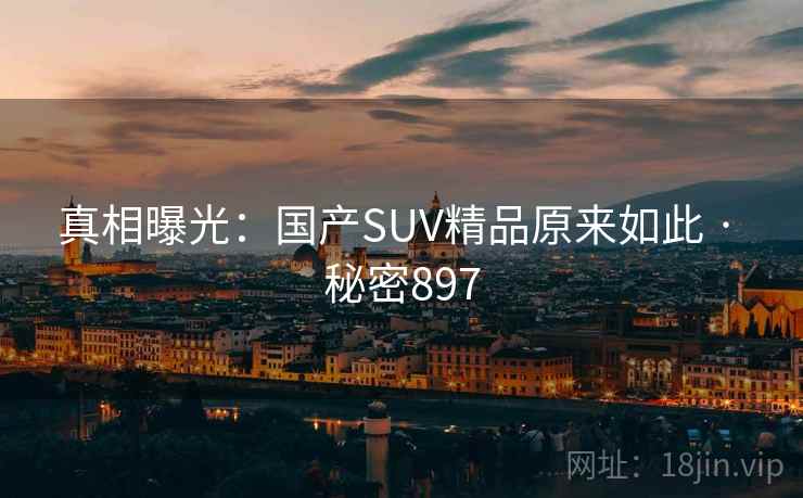 真相曝光:国产SUV精品原来如此 · 秘密897  第2张 真相曝光:国产SUV精品原来如此 · 秘密897  第2张
